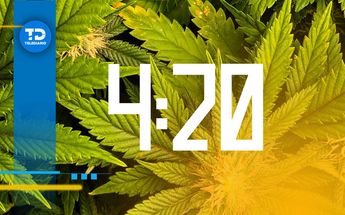 Este 20 de abril se celebra el Día de la Marihuana.
