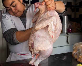 El pavo navideño se consigue en distintos mercados de México, principalmente en temporada decembrina / Agencia Cuartoscuro