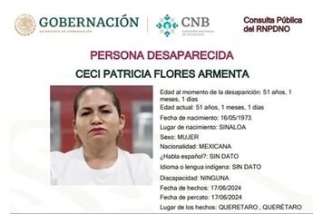 Ficha de busqueda de madre buscadora Ceci Flores./Cortesía.