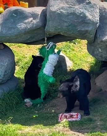 Visitantes del MUDE pudieron festejar el cumpleaños de Capi y Camila.