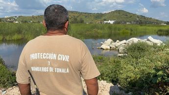 Elementos de Protección Civil y Bomberos de Tonalá capturaron al cocodrilo | Comisaría de Tonalá