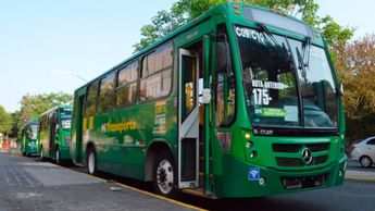 Camiones del transporte público de Guadalajara / Especial