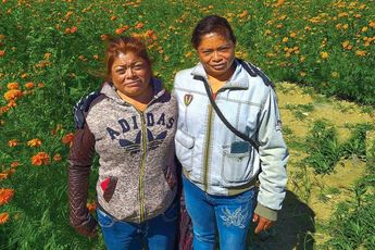 Hermanas Tlaczani, productoras de flor de cempasúchil en Santa Isabel Cholula | Andrés Lobato