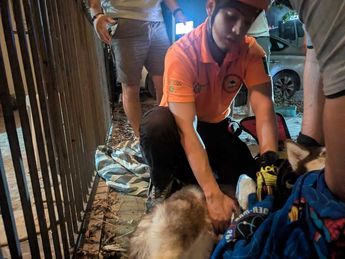 Los dueños del perrito agradecieron la atención de los cuerpos de rescate. | Cortesía
