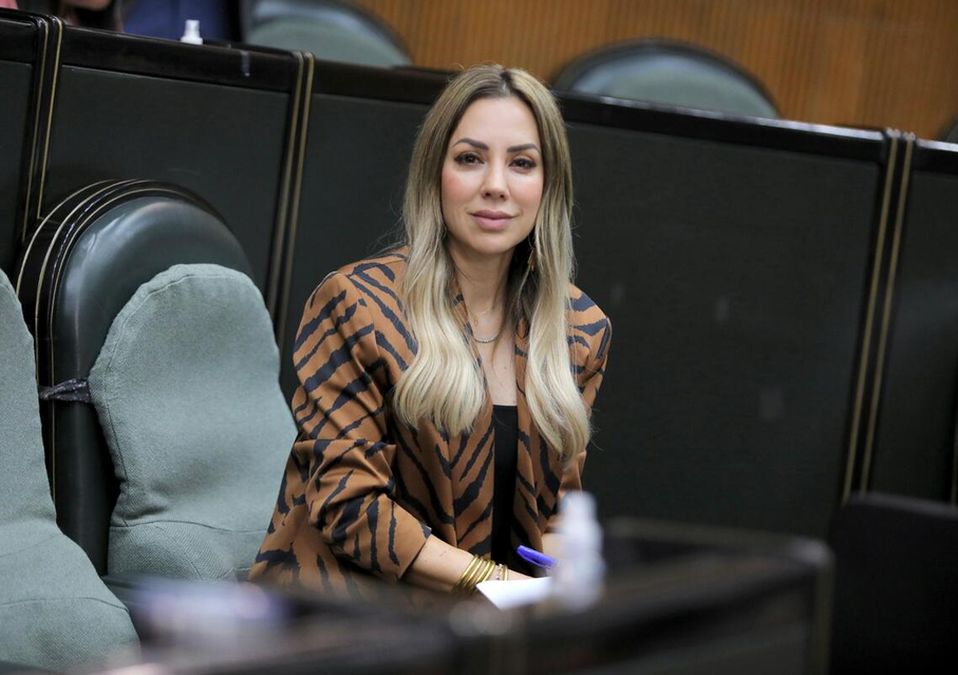 Perla Villarreal, Coordinadora de la Bancada de PRD / Especial