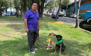 El Taxi Animalista opera en el Valle de México /Ernesto Guzmán