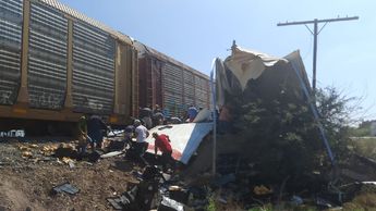 El fuerte accidente fue aprovechado por los habitantes de la zona