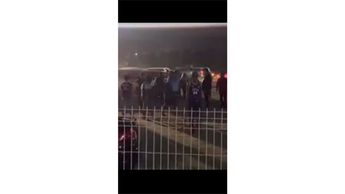 Aficionados del Mazatlán y Santos Laguna se pelean tras partido