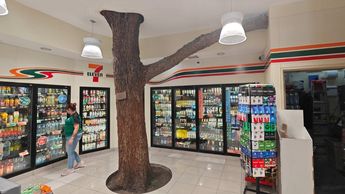 Árbol dentro de 7-Eleven