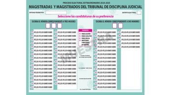 Magistraturas del Tribunal de Disciplina Judicial / Especial