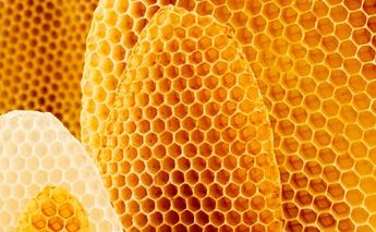 Hay personas a las que les pueden dar miedo los panales de abeja.