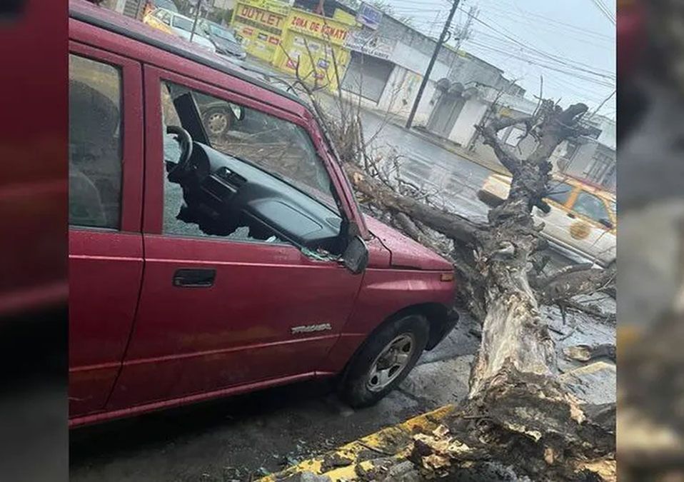 Cae árbol y daña camioneta en Guadalupe