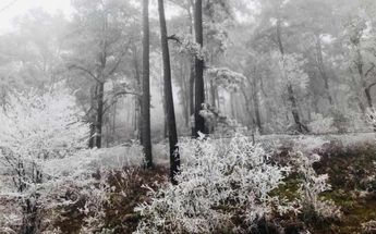Nevada en sierra de Santiago, Nuevo León. | Cortesís