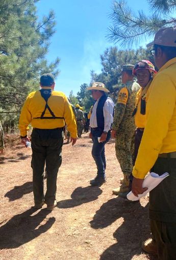 BRigadistas trabajan para sofocar el incendio forestal en Vicente Guerrero, Puebla / PC Civil