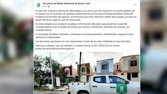 La Secretaría de Medio Ambiente de Nuevo León actualizó el caso del perrito que murió en Apodaca. | Especial