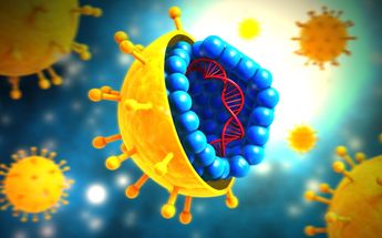 Virus de papiloma es prevenible con educación en sexualidad responsable