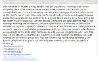 Don Ramón y su perrito 'Pachón' | Especial