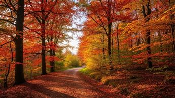 Otoño
