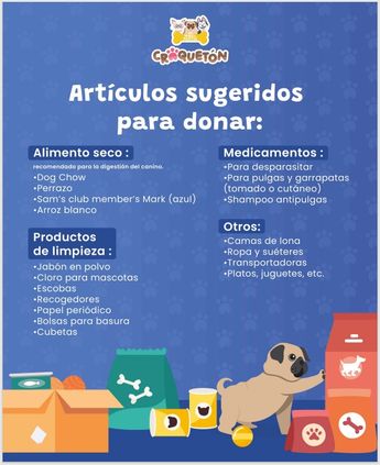 Multimedios León invita al Croquetón: campaña en apoyo a perros y gatos abandonados. Foto: Especial