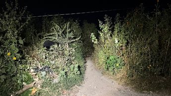 Vista del matorral en la colonia Jardín del Verano, Tlajomulco, donde fue hallada sin vida una niña dentro de una bolsa de plástico. Foto. Usi Toledo