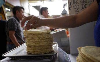 Laguna, kilo de tortillas