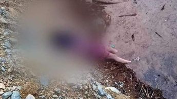 Jimena, desaparecida y hallada muerta en García | Especial