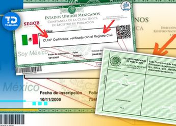 La CURP se divide en 18 caracteres que se componen en letras y números/ Especial