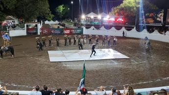 Uno de los momentos más memorables fue el floreo de exhibición, acompañado de un espectacular mapping proyectado sobre el ruedo. | Ángel Martínez