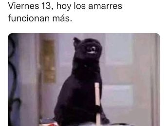 Un gato negro es el recurso más usual dentro de las supersticiones del Viernes 13 en México y el mundo / Cortesía