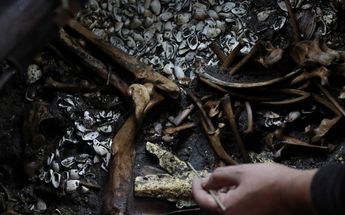 También se descubrieron en una fosa cercana los cráneos de una docena de niños /Reuters