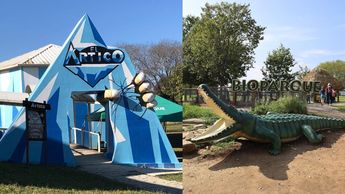 Algunas de las atracciones de Bioparque Estrella son el Ártico y el Mirador de las Jirafas. | Especial