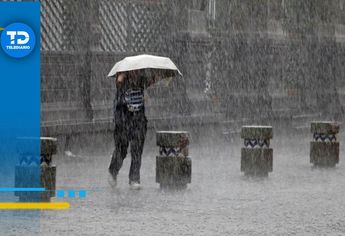 Algunas zonas de la Sierra de Durango ya ha registrado lluvias