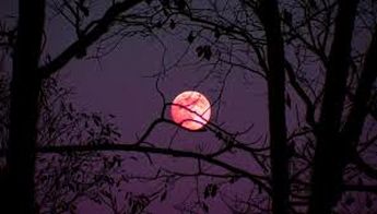Se le conoce como Luna Rosa por los nativos americanos, quienes la nombraron así