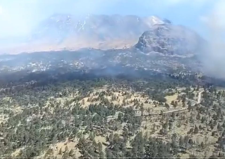Combaten incendio forestal en las faldas del Nevado de Toluca  / Especial