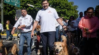 Tommy acompañó a Alejandro Armenta Mier en varios eventos de su campaña para ser gobernador | Es Imagen