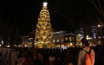 Árbol navideño en el Zócalo de Puebla / Melanie Torres