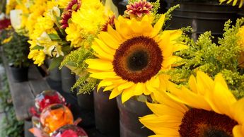 En Puebla puedes encontrar arreglos y ramos de flores amarillas en mercados y florerías | Agencia Es Imagen