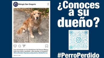 La visibilidad en pantallas digitales aceleró el reencuentro con su familia. (Cortesía)