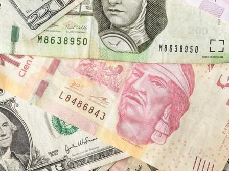 Este 15 de diciembre, los mercados mexicanos abren con el precio del dólar de la semana pasada | Freepik