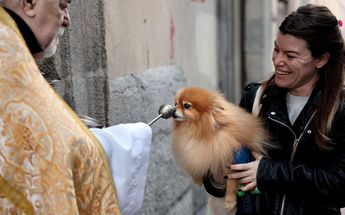 Las mascotas lucían tranquilas mientras recibían la bendición de los sacerdotes / AFP