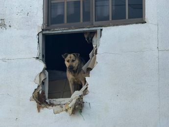 Vecinos de República Oriente habían denunciado desde hace años las condiciones en las que vivía Pedro “N” | Jesús Villegas
