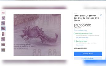 Billete del ajolote es vendido en 5 millones de pesos / Captura.