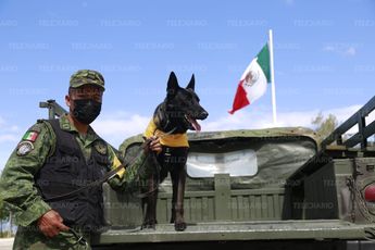 La brigada del Plan DN-III-E también cuenta con binomios caninos para la localización de personas / Andrés Lobato