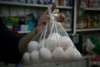Aumenta el precio del huevo en México