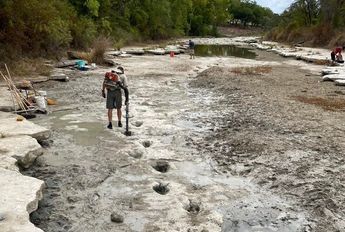 Huellas de dinosaurio quedan expuestas tras sequía en río de Texas, EUA / AP.