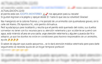 Perro quemado de la cara en Apodaca | Especial