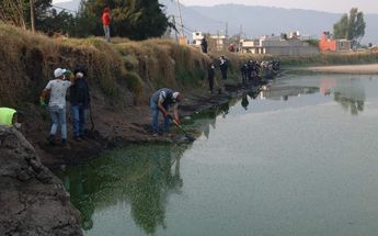 El ayuntamiento de Tenancingo realizó una jornada de limpieza en la laguna / Especial