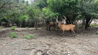 Zoológico en Nuevo León / Ángel Mercado