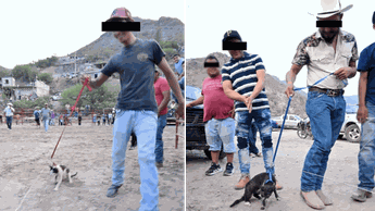 Identifican a presuntos responsables de "carreras de gatos" en comunidad de Xichú.