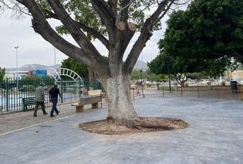 Plancha de concreto genera molestia en comerciantes de Alameda Zaragoza